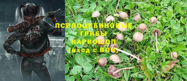 ешки Нефтекумск