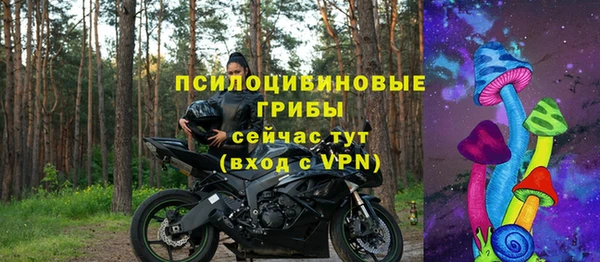 ГАЛЛЮЦИНОГЕННЫЕ ГРИБЫ Новодвинск