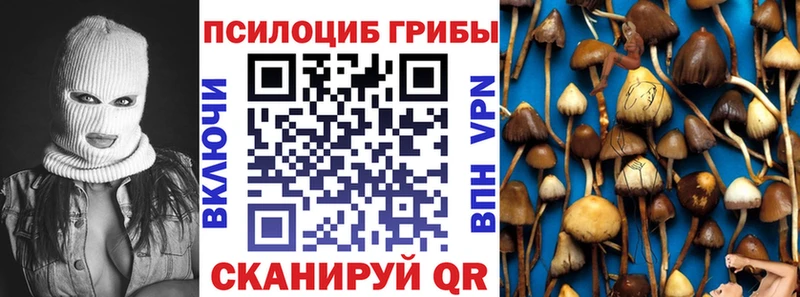 Галлюциногенные грибы мицелий  где купить наркоту  Ишимбай 
