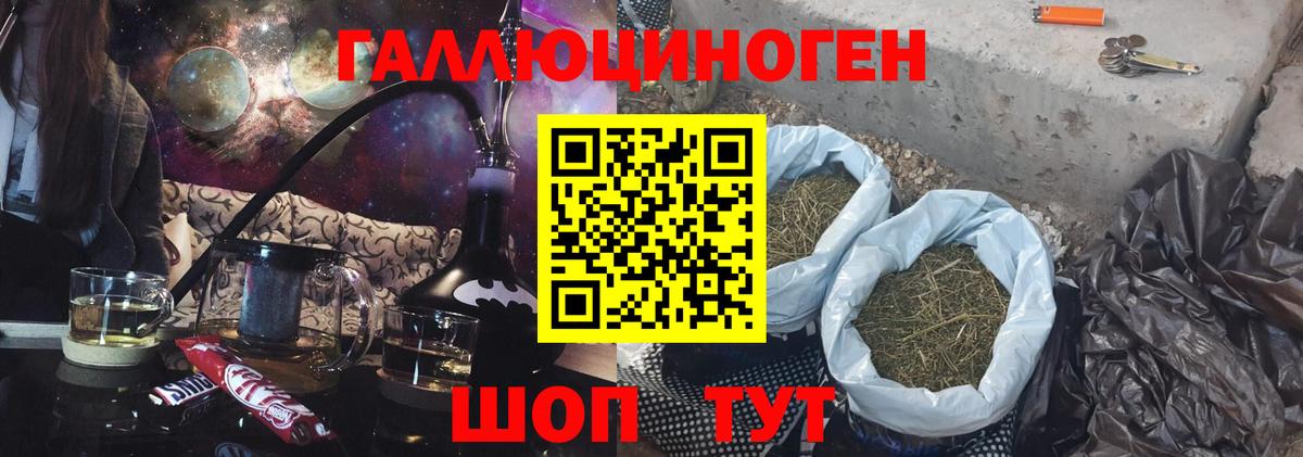 Псилоцибиновые грибы Psilocybe Ишимбай