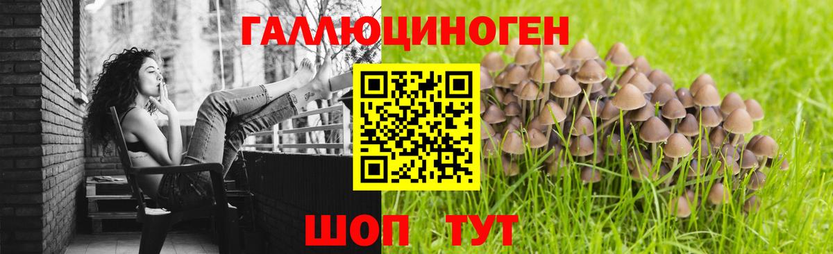 Ишимбай  купить наркотики цена  Вход с VPN  Галлюциногенные грибы мухоморы  Псилоцибиновые грибы ЛСД 
