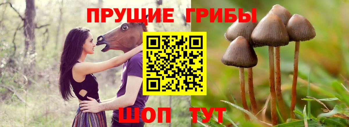 Галлюциногенные грибы Magic Shrooms Ишимбай